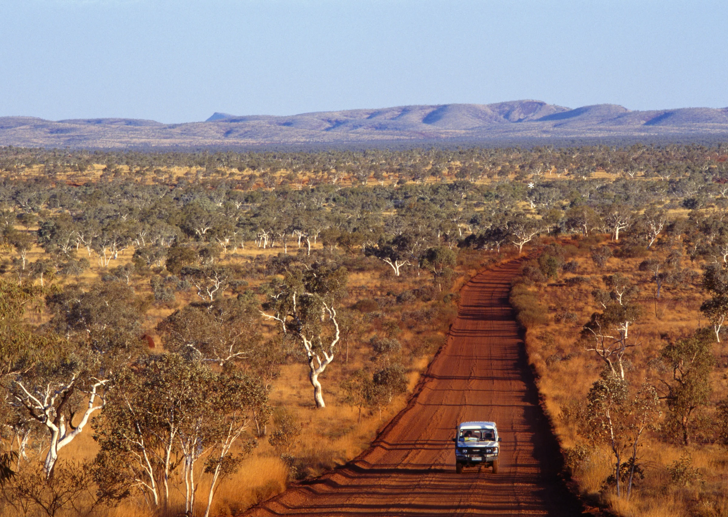 Australia's Ultimate Native Superfood